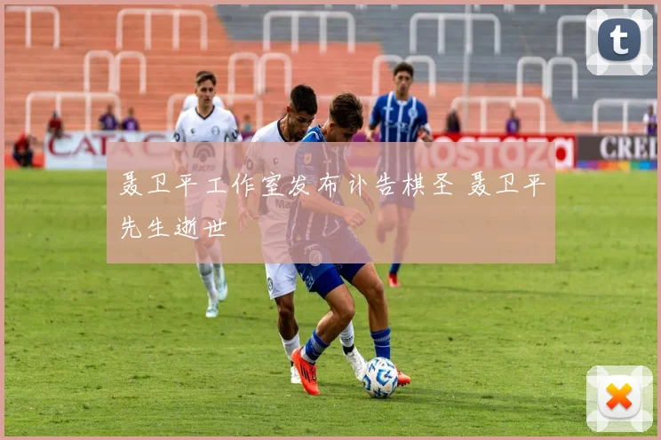 聂卫平工作室发布讣告棋圣 聂卫平先生逝世